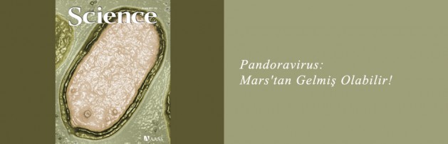 Pandoravirus: Mars’tan Gelmiş Olabilir! | Klimik