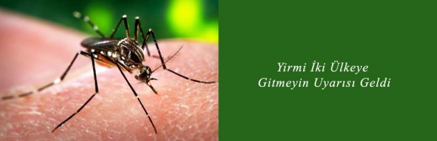 Yirmi İki Ülkeye Gitmeyin Uyarısı Geldi