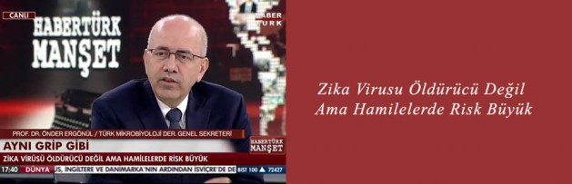Zika Virusu Öldürücü Değil Ama Hamilelerde Risk Büyük
