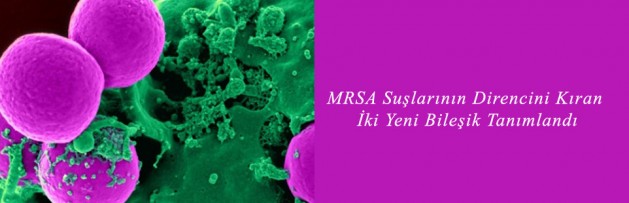 MRSA Suşlarının Direncini Kıran İki Yeni Bileşik Tanımlandı