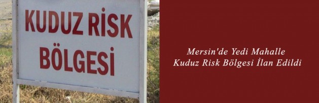 Mersin'de Yedi Mahalle Kuduz Risk Bölgesi İlan Edildi