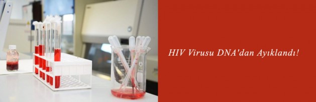 HIV Virusu DNA'dan Ayıklandı