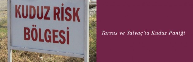 Tarsus ve Yalvaç'ta Kuduz Paniği