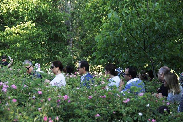 UVHS 2016 (Üçüncü Gün) (41)_rev