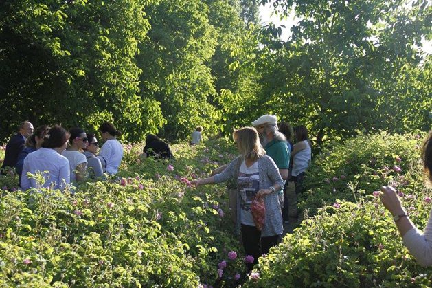 UVHS 2016 (Üçüncü Gün) (44)_rev