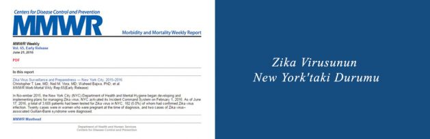 Zika Virusunun New York'taki Durumu