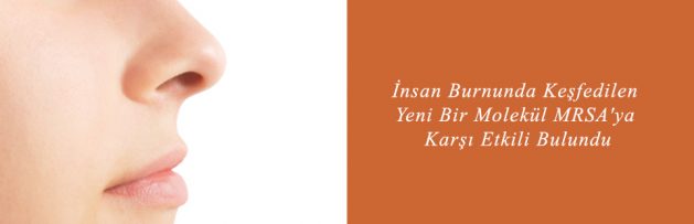 İnsan Burnunda Keşfedilen Yeni Bir Molekül MRSA'ya Karşı Etkili Bulundu