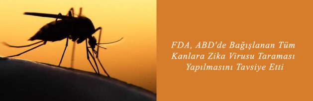 FDA, ABD'de Bağışlanan Tüm Kanlara Zika Virusu Taraması Yapılmasını Tavsiye Etti