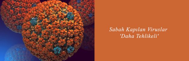 Sabah Kapılan Viruslar 'Daha Tehlikeli'