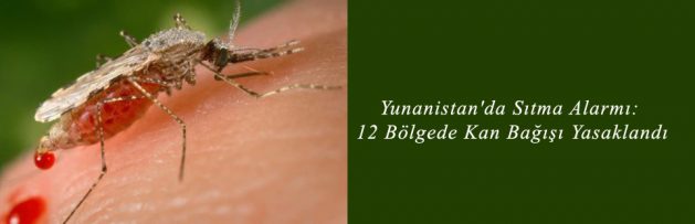 Yunanistan'da Sıtma Alarmı 12 Bölgede Kan Bağışı Yasaklandı