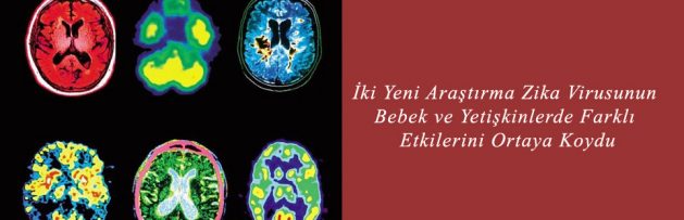İki Yeni Araştırma Zika Virusunun Bebek ve Yetişkinlerde Farklı Etkilerini Ortaya Koydu
