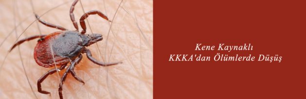 Kene Kaynaklı KKKA'dan Ölümlerde Düşüş