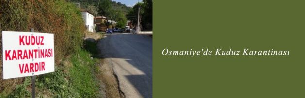 Osmaniye'de Kuduz Karantinası
