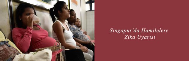 Singapur'da Hamilelere Zika Uyarısı