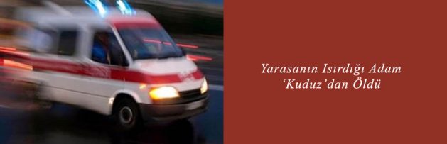 Yarasanın Isırdığı Adam ‘Kuduz’dan Öldü