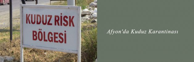 Afyon'da Kuduz Karantinası