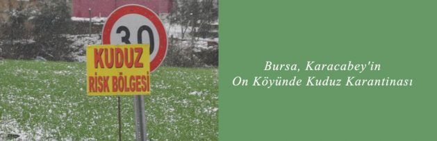 Bursa, Karacabey'in 10 Köyünde Kuduz Karantinası