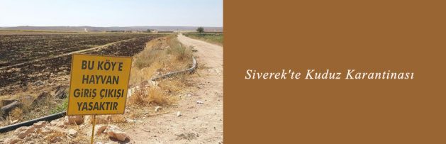 Siverek'te Kuduz Karantinası