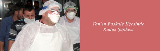 Van’ın Başkale İlçesinde Kuduz Şüphesi