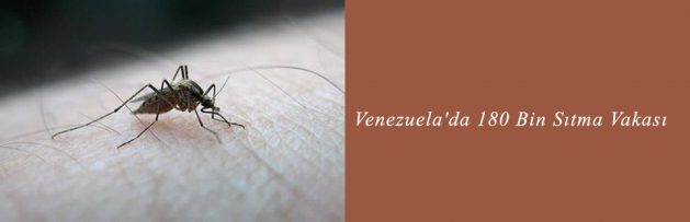 Venezuela'da 180 Bin Sıtma Vakası