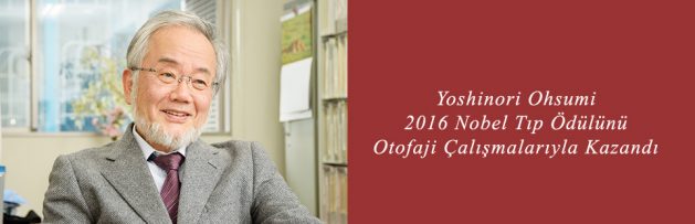 Yoshinori Ohsumi 2016 Nobel Tıp Ödülünü Otofaji Çalışmalarıyla Kazandı