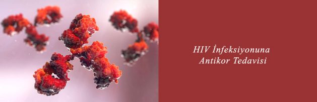 HIV İnfeksiyonuna Antikor Tedavisi