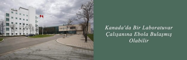 Kanada'da Bir Laboratuvar Çalışanına Ebola Bulaşmış Olabilir