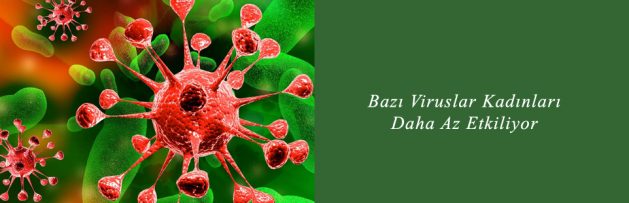 Bazı Viruslar Kadınları Daha Az Etkiliyor