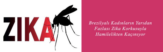 Brezilyalı Kadınların Yarıdan Fazlası Zika Korkusuyla Hamilelikten Kaçınıyor