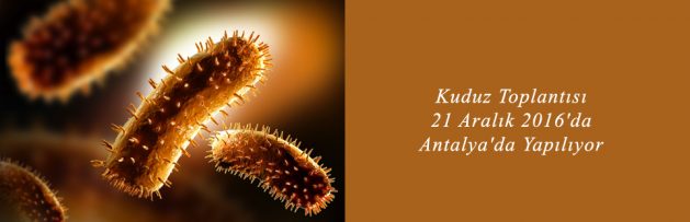 Kuduz Toplantısı 21 Aralık 2016'da Antalya'da Yapılıyor 2