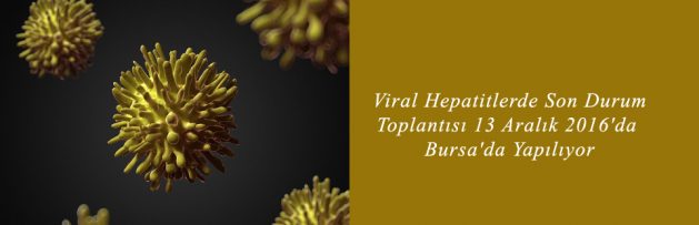 Viral Hepatitlerde Son Durum Toplantısı 13 Aralık 2016'da Bursa'da Yapılıyor 2
