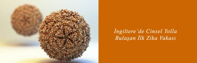 İngiltere’de Cinsel Yolla Bulaşan İlk Zika Vakası