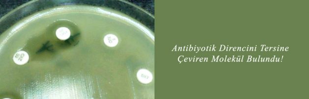 Antibiyotik Direncini Tersine Çeviren Molekül Bulundu