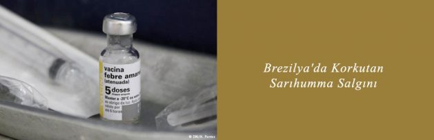 Brezilya'da Korkutan Sarıhumma Salgını