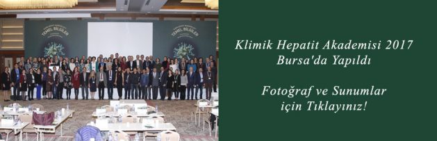 Klimik Hepatit Akademisi 2017 Bursa'da Yapıldı