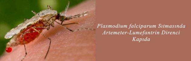 Plasmodium falciparum Sıtmasında Artemeter-Lumefantrin Direnci Kapıda