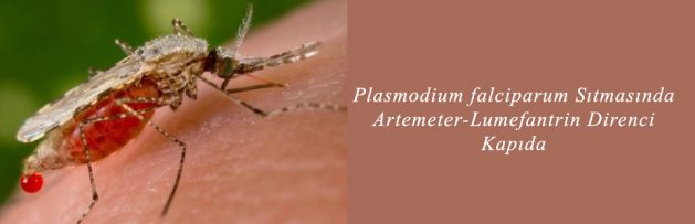 Plasmodium falciparum Sıtmasında Artemeter-Lumefantrin Direnci Kapıda