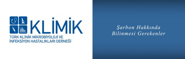 sarbon hakkinda bilinmesi gerekenler klimik